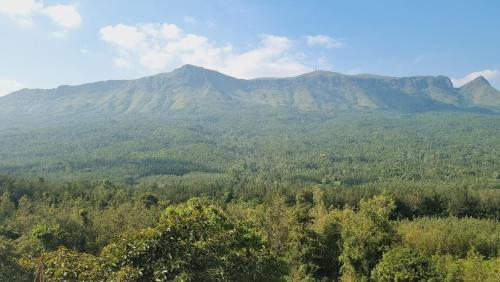 a view of a mountain with trees in front of it at The Inchara Hill View HomeStay in Chikmagalūr
