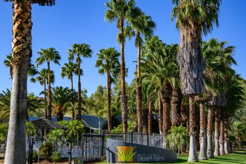 a row of palm trees in a park at Desert Palms Alice Springs in Alice Springs