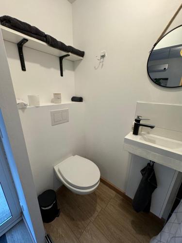 une salle de bain avec toilettes, lavabo et miroir dans l'établissement Studio cosy au cœur de Montady, à Montady
