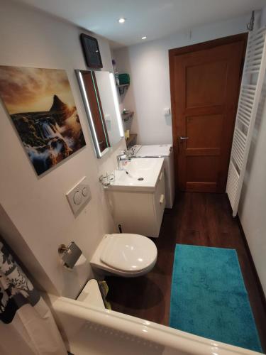 a bathroom with a toilet and a sink and a mirror at Chalet Sandgrube in Mörel