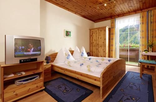 ein Wohnzimmer mit einem Bett und einem TV in der Unterkunft Pension Waldhauser in Rennweg