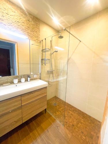 une salle de bain avec un lavabo et une douche en verre dans l'établissement Appartement Promenade des Anglais, à Nice