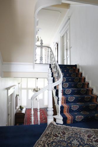 a staircase in a house with a blue carpet at AKZENT Waldhotel Spa Rügen in Göhren