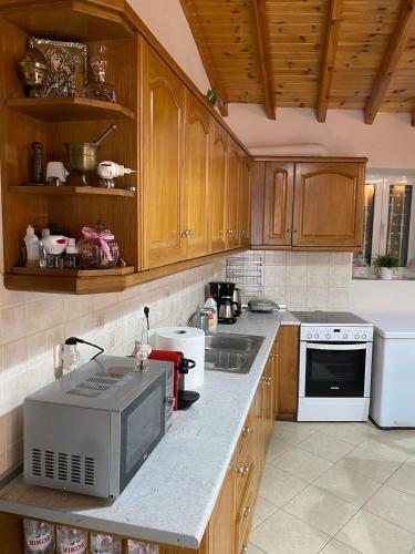 a kitchen with wooden cabinets and a counter with a microwave at Ionian House in Neochorákion