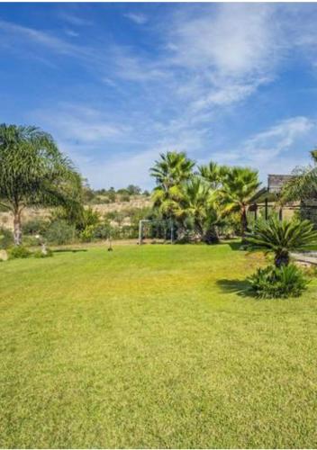 a large yard with palm trees and a house at Villa Green garden in Carlentini