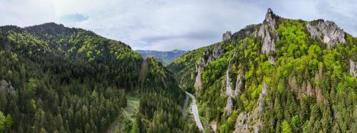 a mountain with trees and a road on it at Chata SOŠS Vrátna Dolina in Terchová