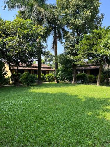 a house with trees in a field of grass at Tiger Residency Resort in Sauraha