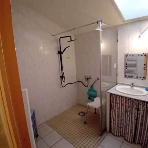 une salle de bain avec douche et lavabo dans l'établissement LA VALLEE MARIAUX, à Bossus-lès-Rumigny
