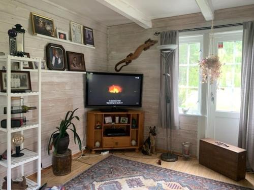 Μια τηλεόραση ή/και κέντρο ψυχαγωγίας στο House just north of Arctic Circle