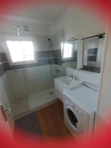 une salle de bain avec une machine à laver et un lavabo dans l'établissement Le nouveau monde, à Bayeux