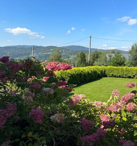 a garden with pink and purple flowers and bushes at Rezydencja Zawoja in Zawoja