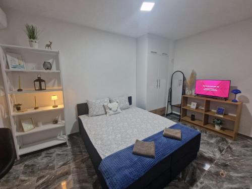 Μια τηλεόραση ή/και κέντρο ψυχαγωγίας στο Apartman Katić