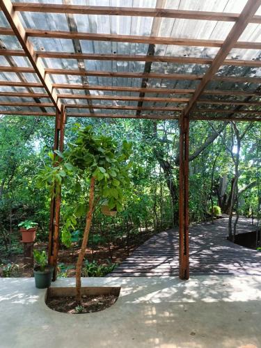 a wooden pergola with a small tree under it at Klein Eden Forest in Rustenburg