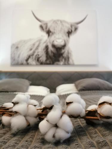 Foto SmartApart - Design Apartment - Favorite Place - Full Equipment - Public Transport 1
