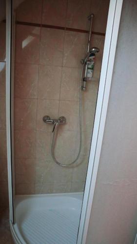 a shower with a glass door in a bathroom at Hegy és Balaton Vendégház in Badacsonytördemic