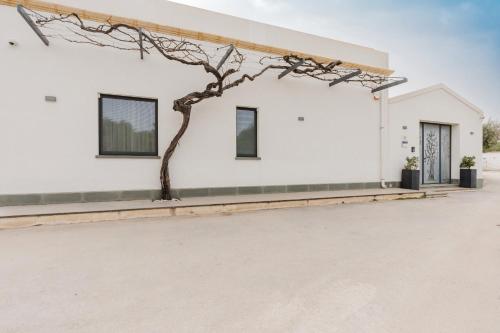 a tree on the side of a white building at Casa Umeli with Jacuzzi and Sauna in Marsala