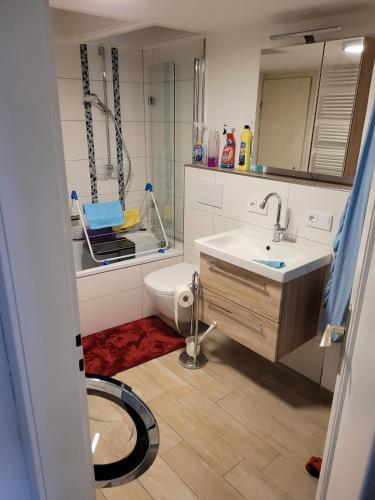 a bathroom with a sink and a toilet and a mirror at Fereinwohnung mit 5 Schlafzimmern in Schlitz