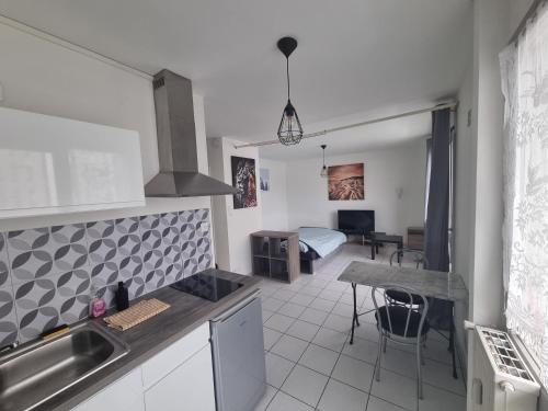 Il comprend une cuisine et un salon avec une table. dans l'établissement Studio Lumineux Bellevue 11, à Saint-Étienne