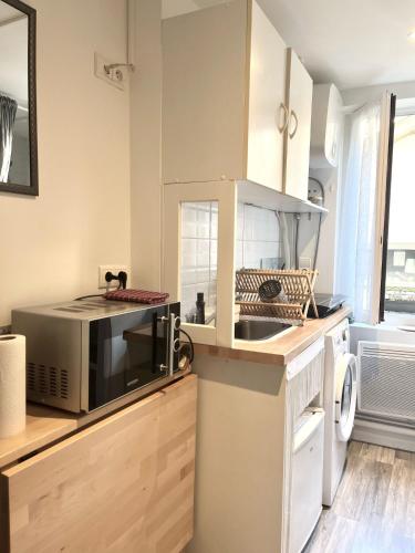 une cuisine avec un micro-ondes et un évier dans l'établissement Le Petit Sphynx - 9m2, à Vichy