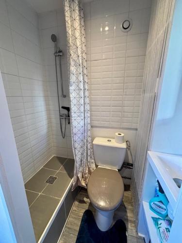 une petite salle de bain avec toilettes et douche dans l'établissement Le Petit Sphynx - 9m2, à Vichy