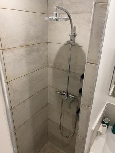 une salle de bain avec une douche avec pommeau de douche dans l'établissement Charming Old Town Appartment with AC and Parking, à La Ciotat
