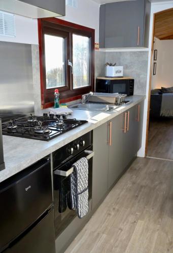 a kitchen with a stove and a sink at Lodge Cabin with Fabulous Views - Farm Holiday in Stranraer