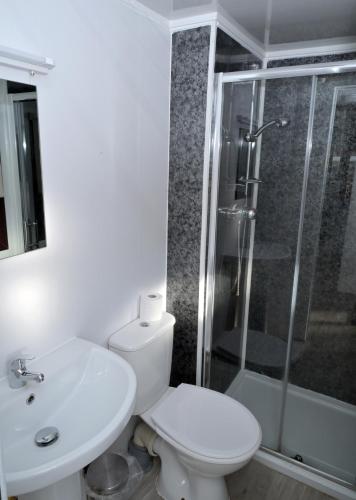a bathroom with a toilet and a sink and a shower at Lodge Cabin with Fabulous Views - Farm Holiday in Stranraer