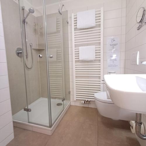 a bathroom with a shower and a toilet and a sink at Hölbinger Alm - Apartments in Anger