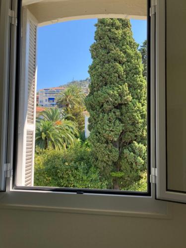 a window with a view of a large tree at Wunderschöne Wohnung in Jugendstilvilla am Hafen in Nice