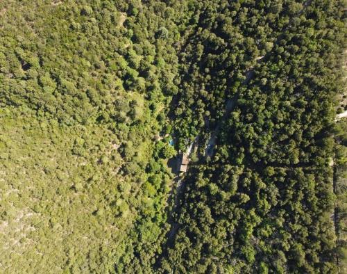 an overhead view of a forest with a dirt road at Mas Du tel, moment nature in Sumène