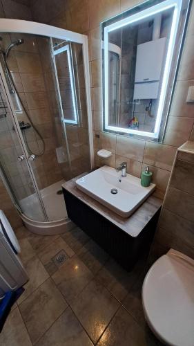 Kúpeľňa v ubytovaní Apartman Jelacic Vinkovci
