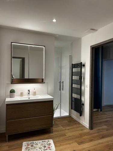 une salle de bain avec un lavabo et un miroir dans l'établissement Location gîte atypique Jura, à Lons-le-Saunier