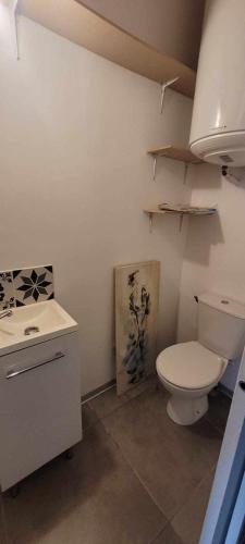 a small bathroom with a toilet and a sink at Maison aux pieds des Remparts in Aigues-Mortes