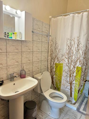 Ένα μπάνιο στο George's & Amalia's appartments 2