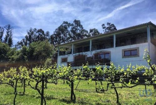 a white house with trees in front of it at Quinta da Quinta in Vieira do Minho