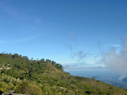 a green hill with a view of the ocean at ABC Guest Inn & Restaurant in Haputale