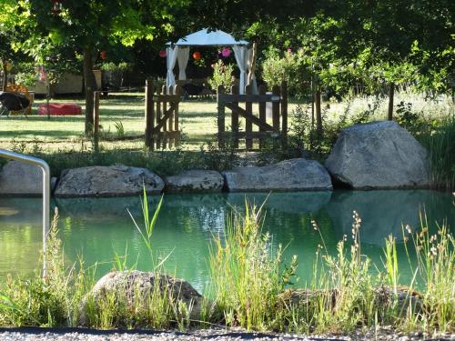 a garden with a table and a pond with rocks at Casa Das Palmeiras-Pedagogic Farm in Mangualde