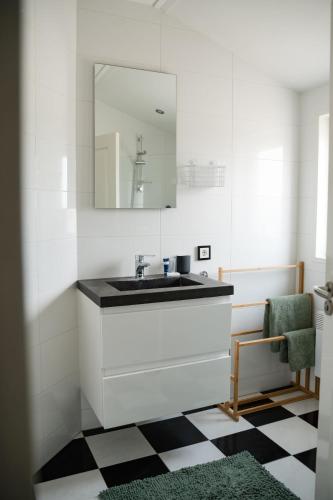 a bathroom with a sink and a mirror at De Os aan de Dijk 2 in Grafhorst