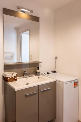 une salle de bain avec un lavabo et un miroir dans l'établissement Cozy Studio near Paris - Wi-Fi - Netflix - Parking, à Eaubonne