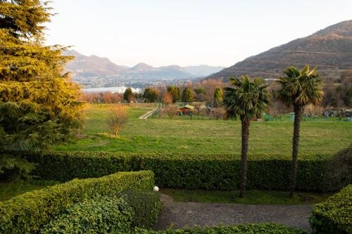 two palm trees in a field with mountains in the background at Exclusive Villa with Lake view-Private SPA in Galbiate