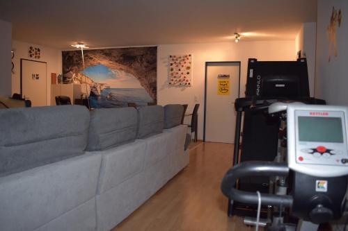 a living room with a gray couch and a video camera at L’orchidée SPA Apartment in Breitenbach