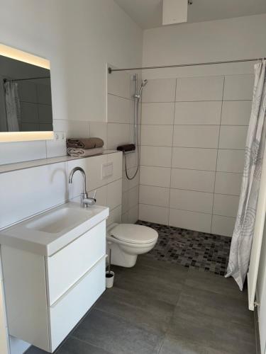 a bathroom with a toilet and a sink at K9 Wohnungen in Münster