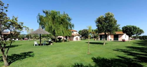 a yard with a house and a tree and a grass field at Agriturismo Bocci in Castiglione della Pescaia