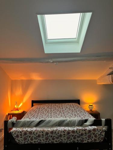 a bedroom with a bed with a skylight at Moulin De La Parenthèse in Sommières-du-Clain