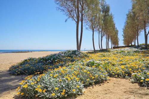 a field of flowers on a beach with trees at Seaview Luxury Villa Jacuzzi & Pool! 2 Min Beach in Protaras