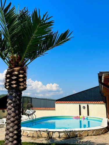 a palm tree sitting next to a swimming pool at Vila Impresija, Fruška gora in Novi Sad