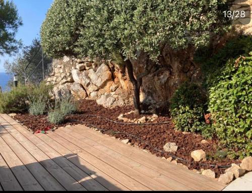 a garden with a tree and a wooden walkway at Sunny Home Costa Plana-Monaco -Cap D'Ail in Cap d'Ail