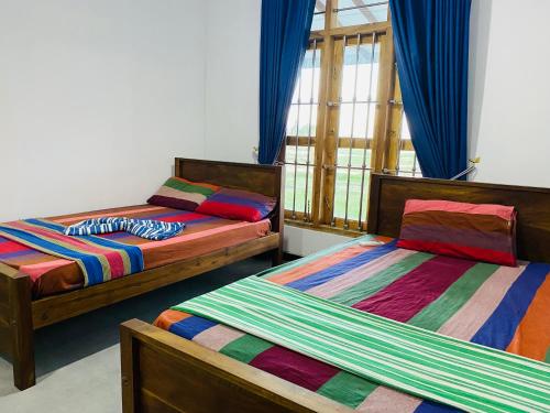 two beds in a room with blue curtains at Lago Inn in Tissamaharama