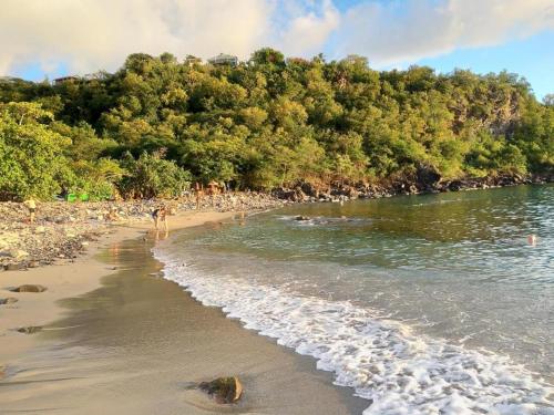 a beach with a group of people swimming in the water at Bèl Péyi - Bas de Villa T4 Proche de la Plage in Bouillante