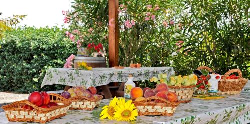 a table with baskets of fruits and vegetables on it at Agriturismo Bocci in Castiglione della Pescaia